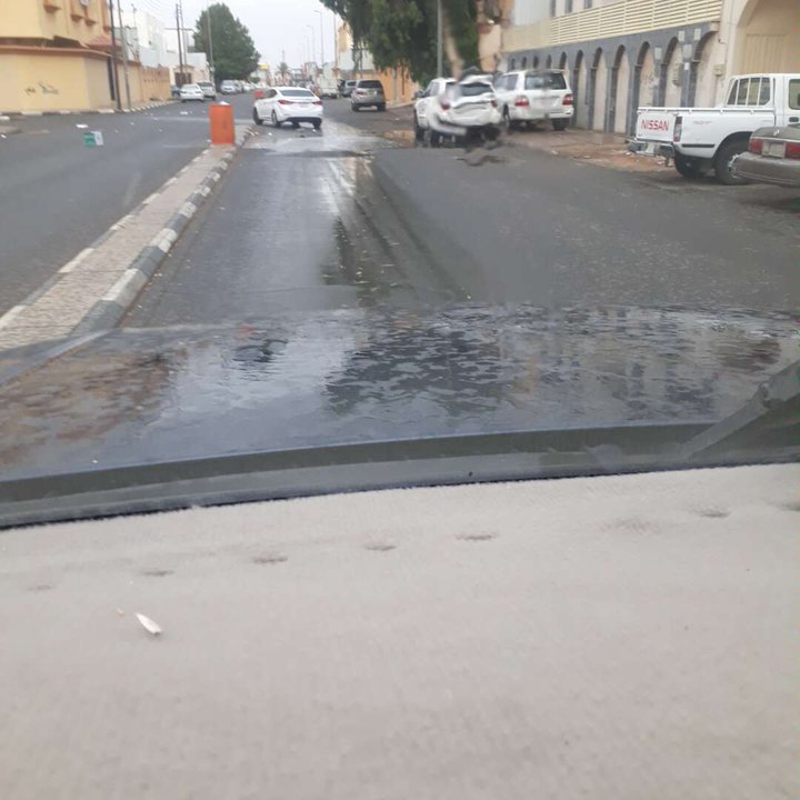 مشاركاتي في أنت الراصد