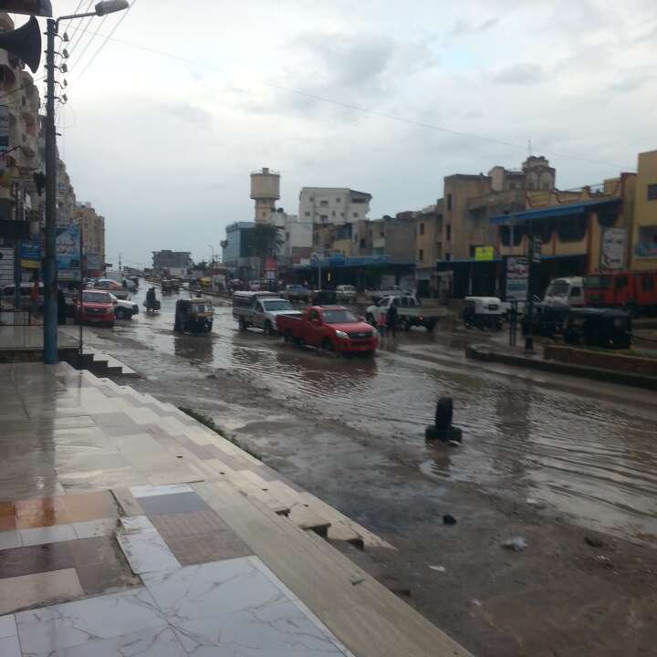 مشاركاتي في أنت الراصد