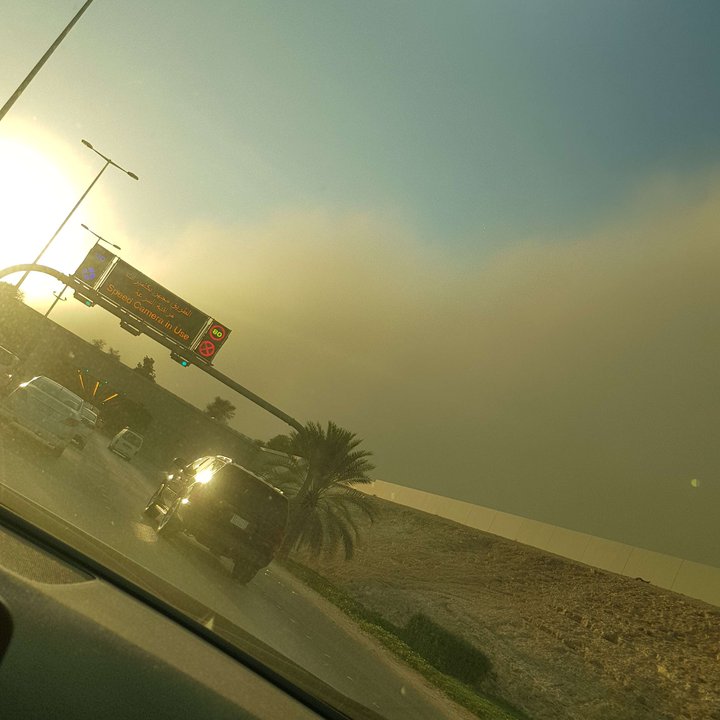 مشاركاتي في أنت الراصد