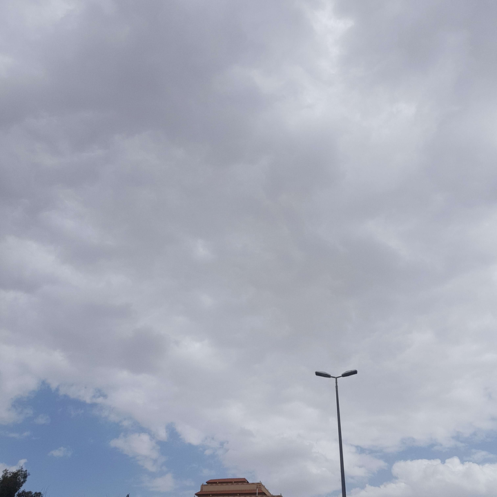 مشاركاتي في أنت الراصد