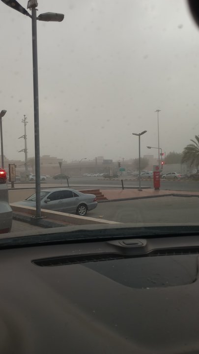 مشاركاتي في أنت الراصد