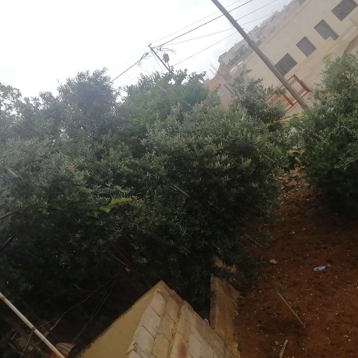 Mes publications Crowdsourcing