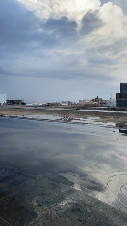 مشاركاتي في أنت الراصد