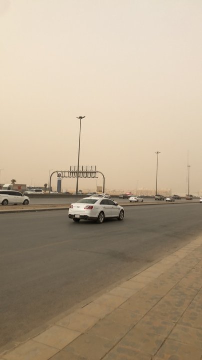 مشاركاتي في أنت الراصد