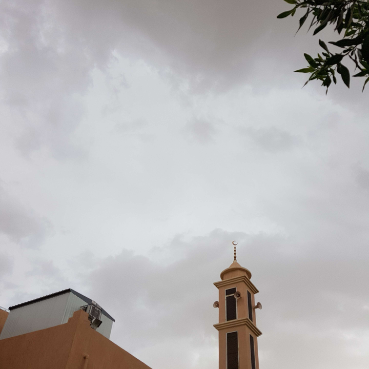 مشاركاتي في أنت الراصد