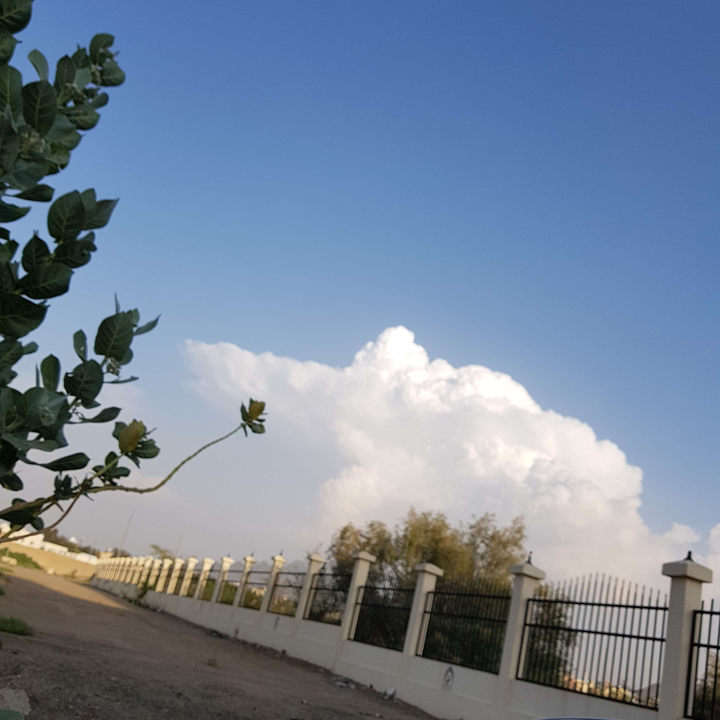 مشاركاتي في أنت الراصد