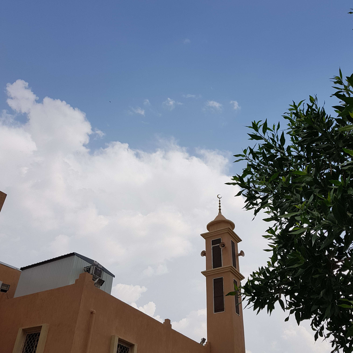 مشاركاتي في أنت الراصد