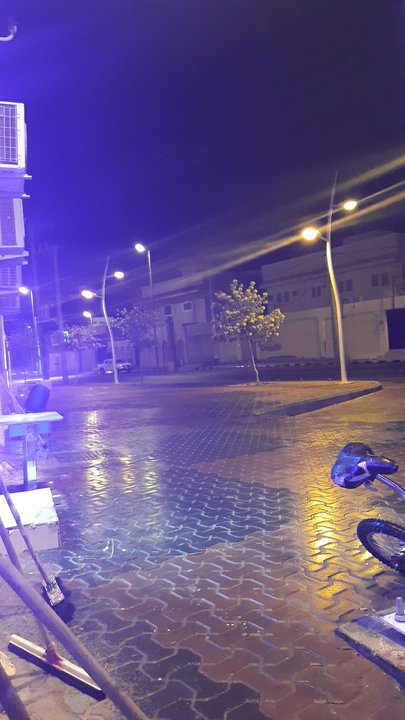 مشاركاتي في أنت الراصد