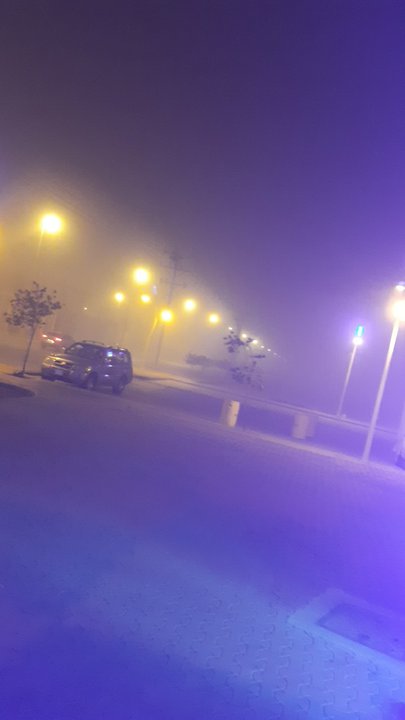 مشاركاتي في أنت الراصد