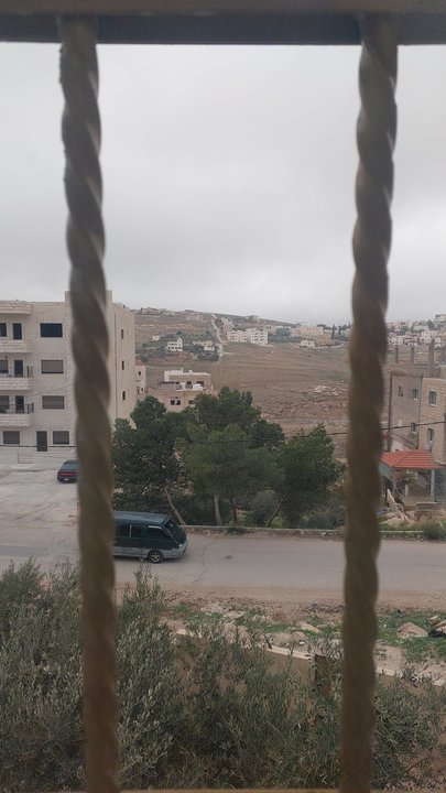 مشاركاتي في أنت الراصد