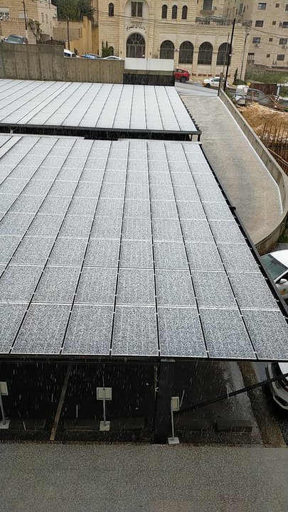 مشاركاتي في أنت الراصد