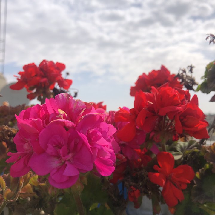 Mes publications Crowdsourcing