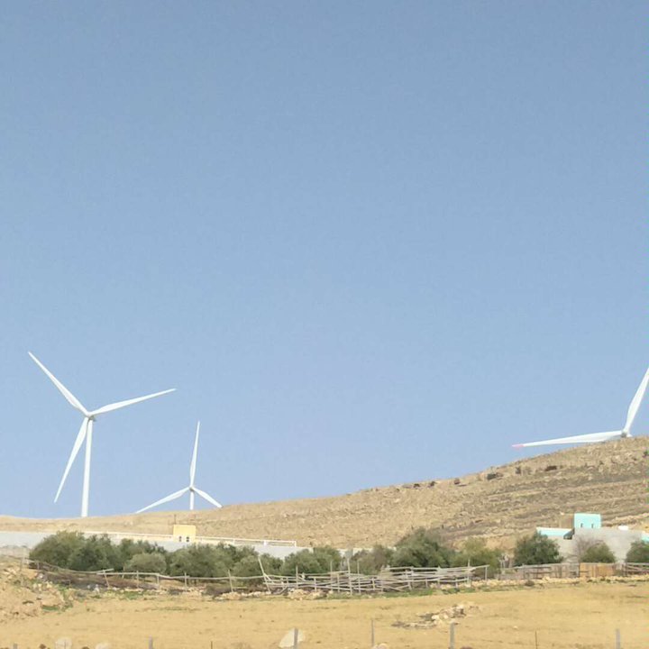 مشاركاتي في أنت الراصد