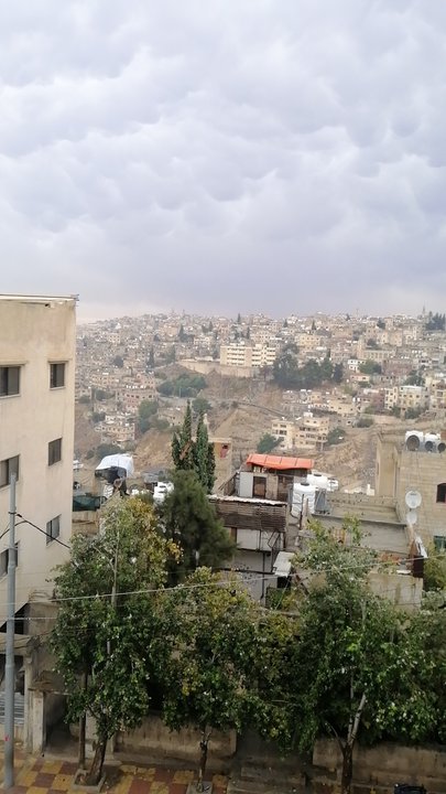 مشاركاتي في أنت الراصد