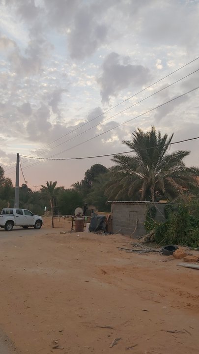 مشاركاتي في أنت الراصد