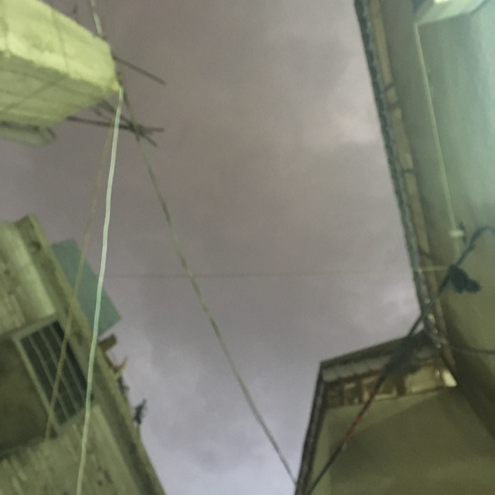 مشاركاتي في أنت الراصد