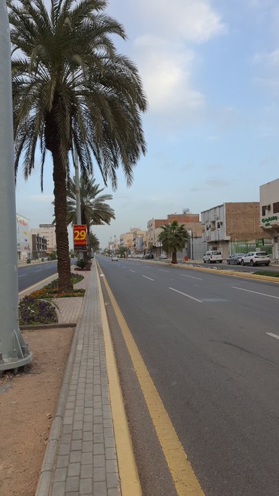 مشاركاتي في أنت الراصد