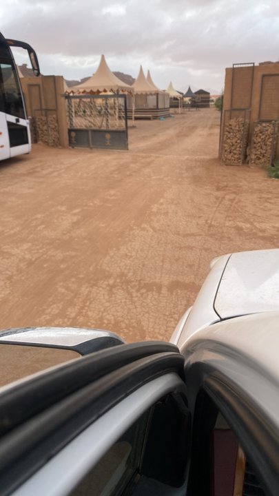 مشاركاتي في أنت الراصد