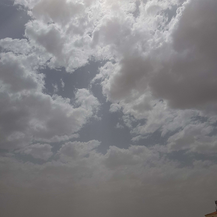 مشاركاتي في أنت الراصد