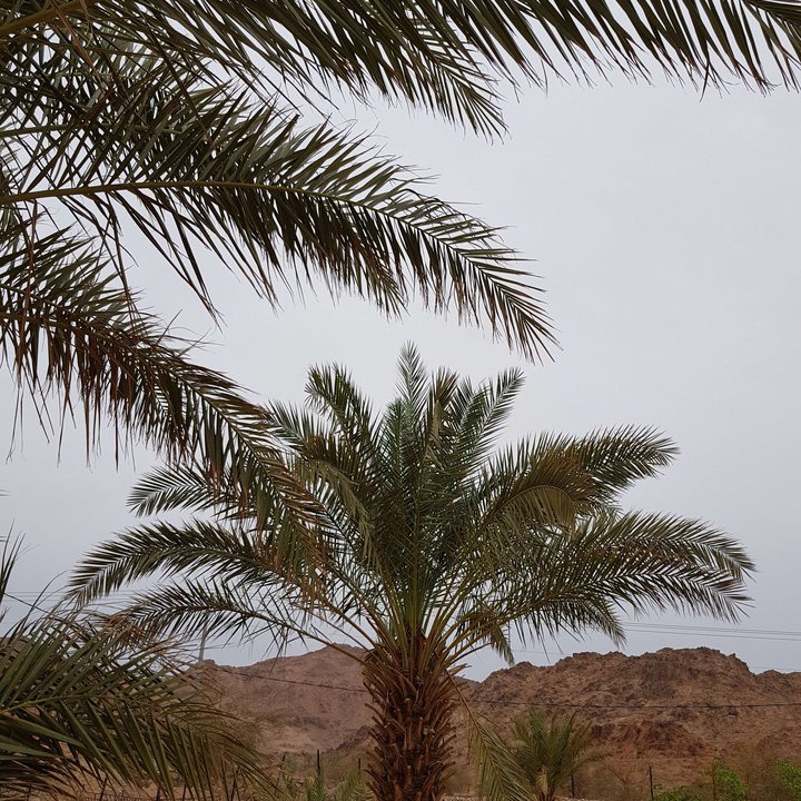 My Crowdsourcing Posts