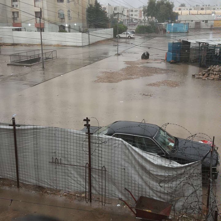 مشاركاتي في أنت الراصد