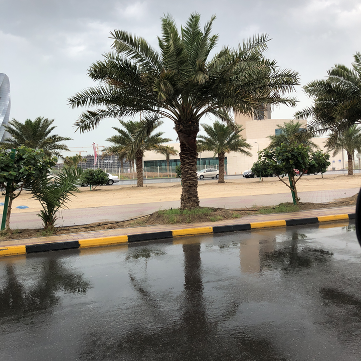 مشاركاتي في أنت الراصد