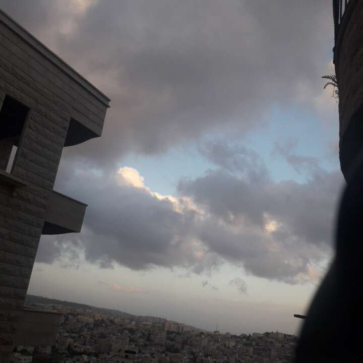 مشاركاتي في أنت الراصد