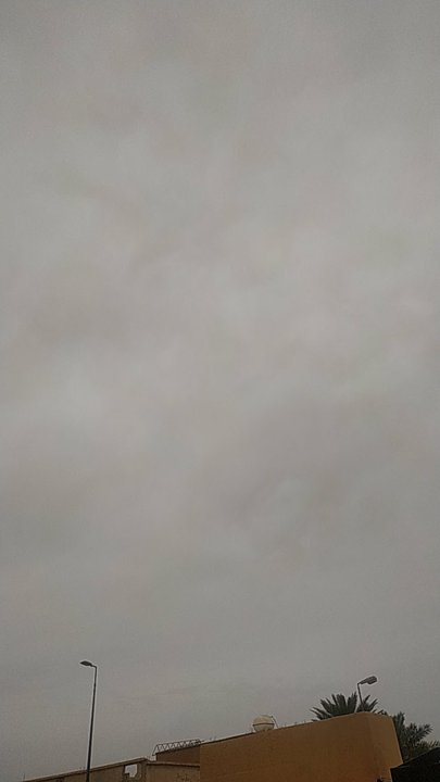 مشاركاتي في أنت الراصد