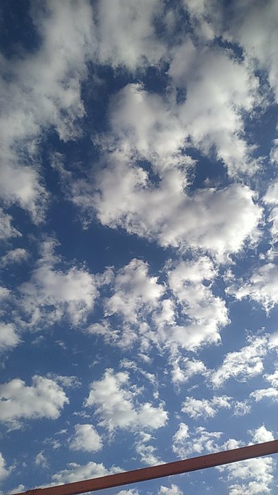 مشاركاتي في أنت الراصد