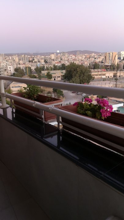 مشاركاتي في أنت الراصد