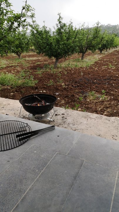 مشاركاتي في أنت الراصد