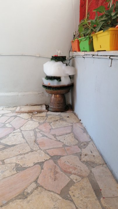 مشاركاتي في أنت الراصد