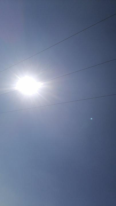 مشاركاتي في أنت الراصد