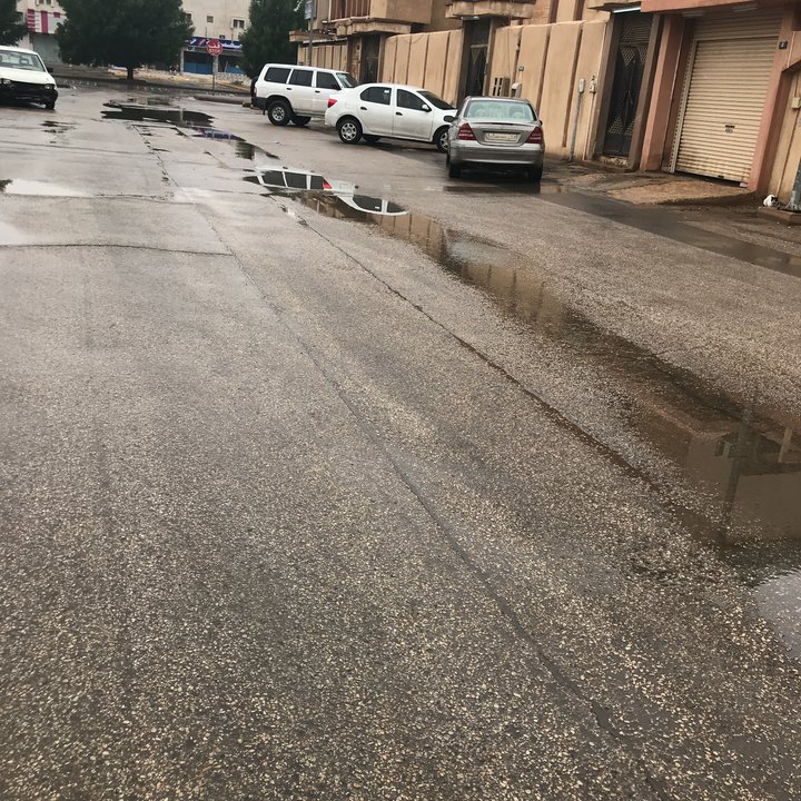 مشاركاتي في أنت الراصد