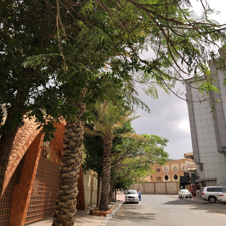 مشاركاتي في أنت الراصد