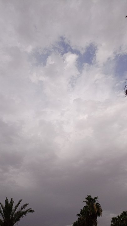 مشاركاتي في أنت الراصد