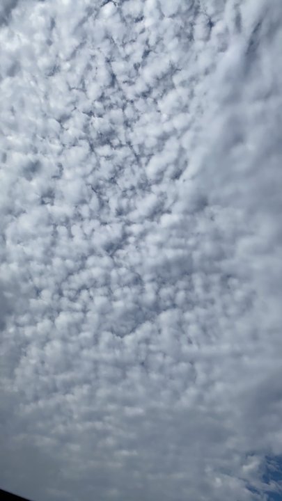 مشاركاتي في أنت الراصد