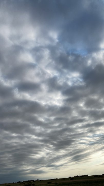 Mes publications Crowdsourcing