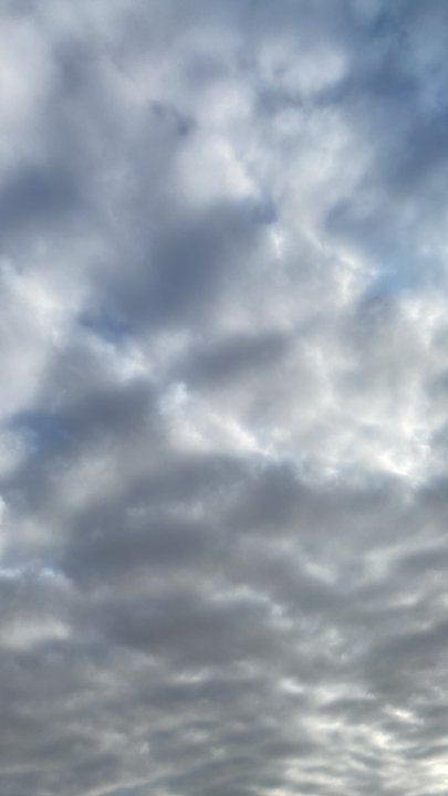 Mes publications Crowdsourcing