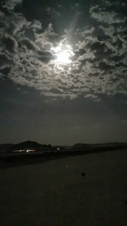 مشاركاتي في أنت الراصد