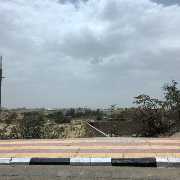 مشاركاتي في أنت الراصد