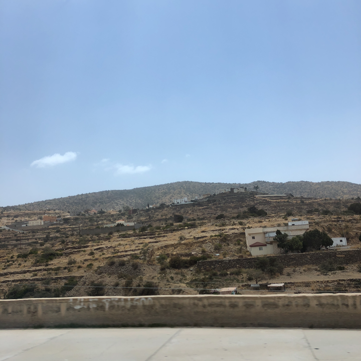 مشاركاتي في أنت الراصد