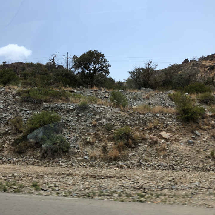 مشاركاتي في أنت الراصد