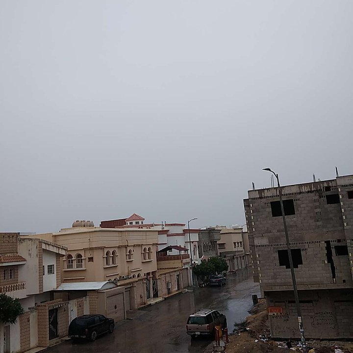 مشاركاتي في أنت الراصد