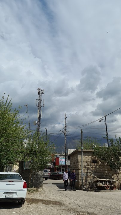 مشاركاتي في أنت الراصد