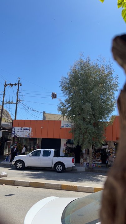 مشاركاتي في أنت الراصد