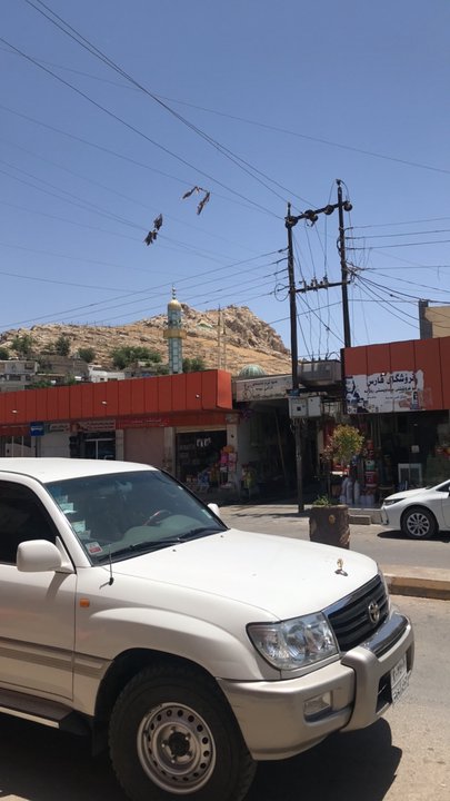 مشاركاتي في أنت الراصد