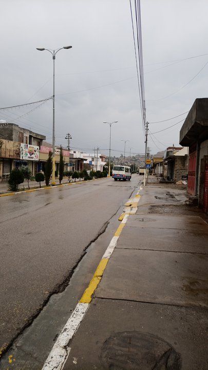 مشاركاتي في أنت الراصد