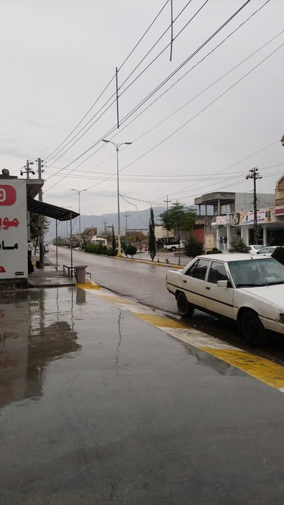 مشاركاتي في أنت الراصد