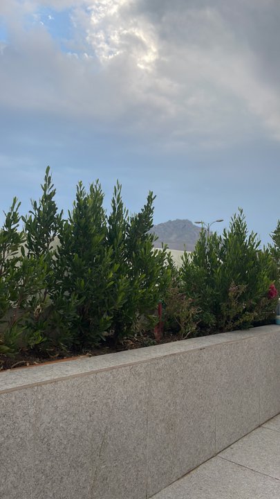 مشاركاتي في أنت الراصد